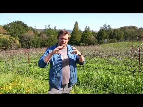 2022 Malbec Barrel Futures