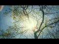 Graham Coxon-In The Morning