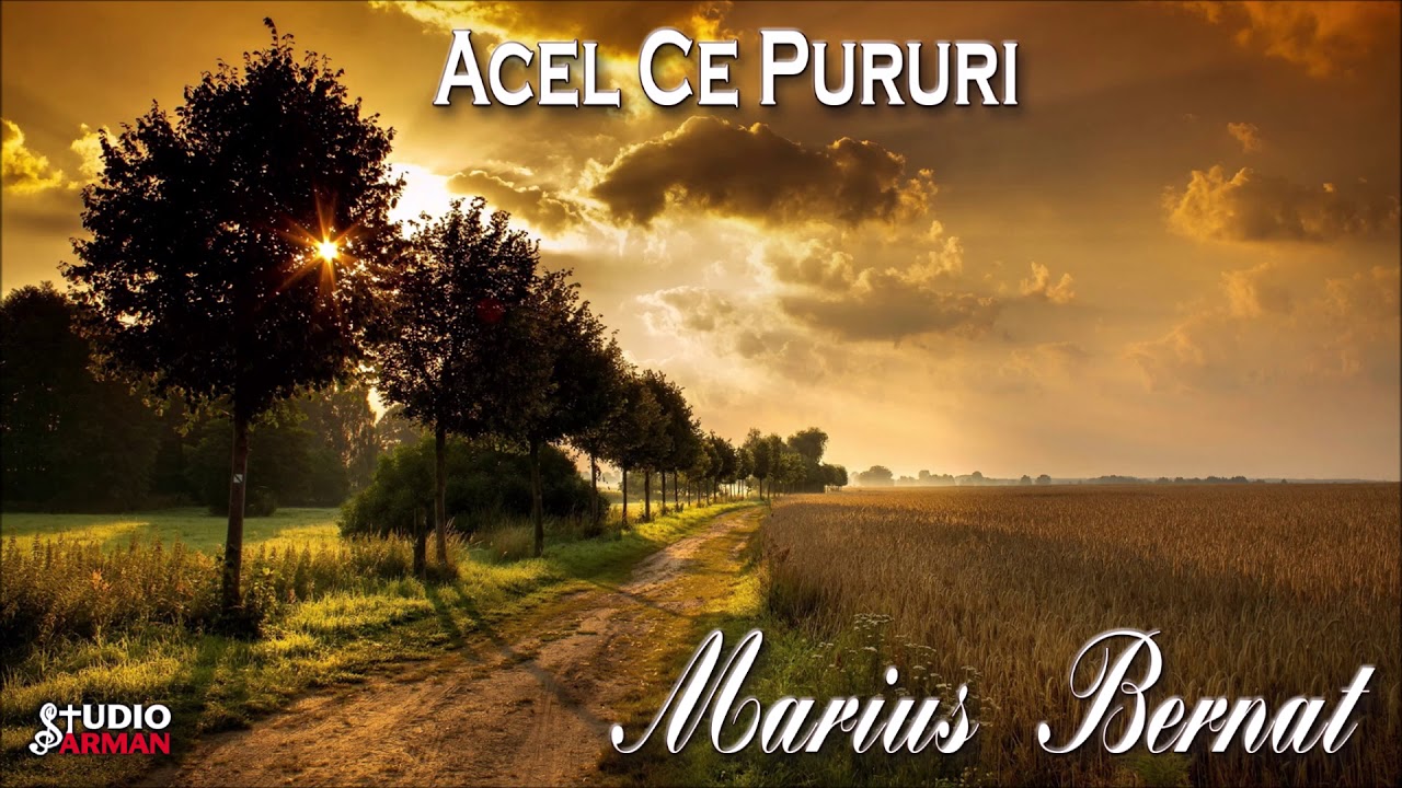 Acel ce pururi - Marius Bernat