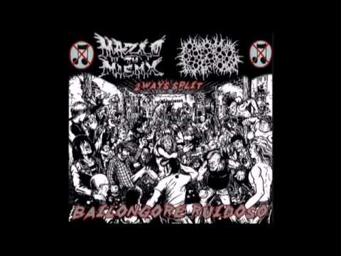 BxPxGx-protozoo isospora belli