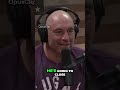 The Unstoppable Wrestling Skills of Mark Schultz in His UFC Debut