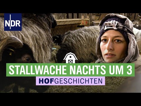 Keine Zeit zu schlafen: Geburtshilfe in der Nacht | (168) | Die Nordreportage: Hofgeschichten