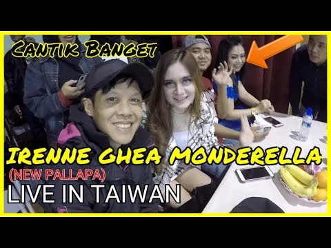 Kita Jumpa Irenne Ghea Monderella ( New Pallapa ) DiTaiwan