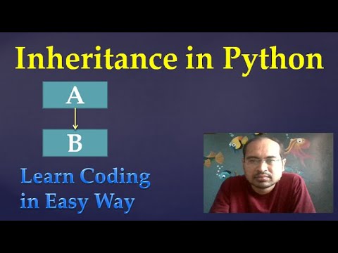 43 Inheritance In Python