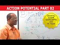 Action Potential Part 2 3