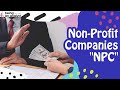 What Is A Non Profit Company BeingAnAnalyst