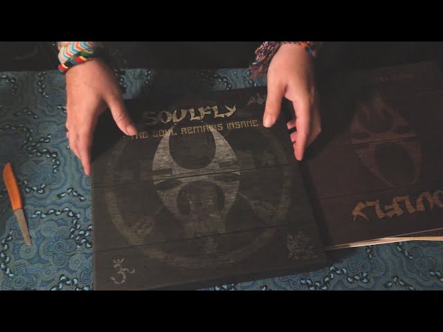 Vídeo relacionado con The Soul Remains Insane: The Studio Albums 1998 to 2004