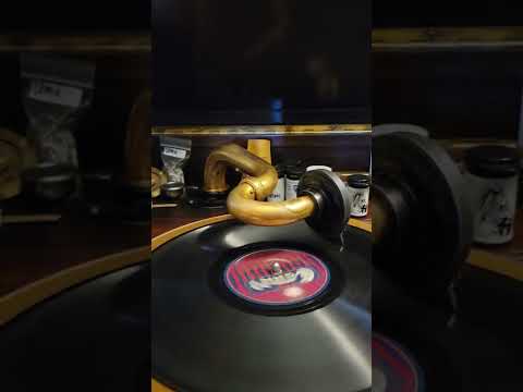 Teddy Bear Blues - Blue Bird Dance Orchestra Cameo Records #290 1922