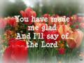 You Are My Shield - You made me glad 