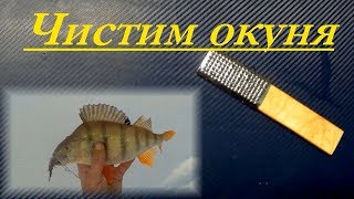 Приспособления для чистки рыбы от чешуи