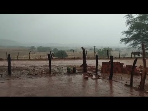 🇧🇷 MUITA CHUVA NA REGIÃO DE SÃO JOÃO DO PIAUÍ, SIMPLÍCIO MENDES