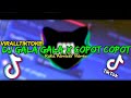 DJ GALA GALA X COPOT COPOT Raka Remixer Remix