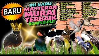 Download lagu 🔥 10 JAM Masteran MURAI BATU FULL ISIAN! 🎶✨ GACOR MEWAH, DURASI PANJANG, SUARA JERNIH & JEDA PAS! 🏆 mp3 Download lagu 🔥 10 JAM Masteran MURAI BATU FULL ISIAN! 🎶✨ GACOR MEWAH, DURASI PANJANG, SUARA JERNIH & JEDA PAS! 🏆 mp3