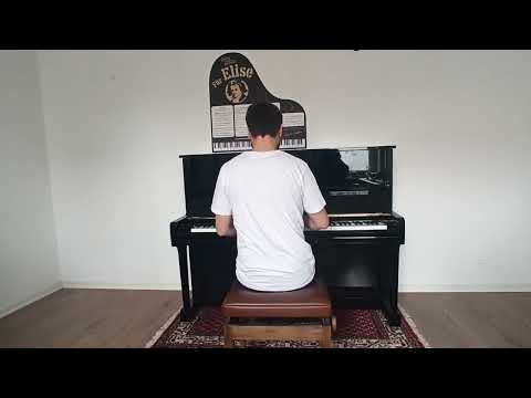 Für Elise For Elise Ludwig van Beethoven Played by Jordan Toms Backview version 2