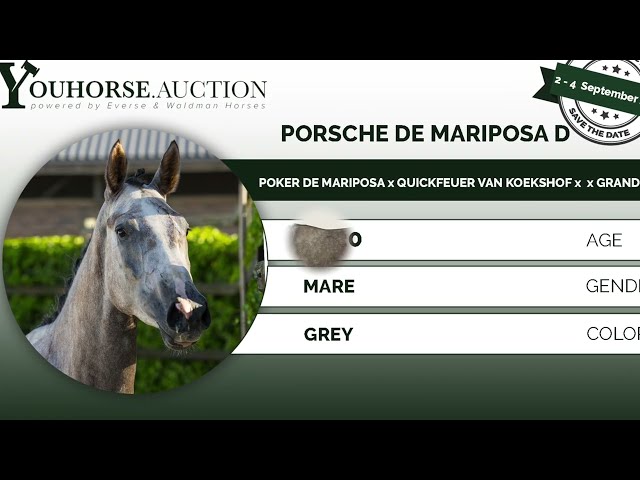 Porsche de Mariposa D