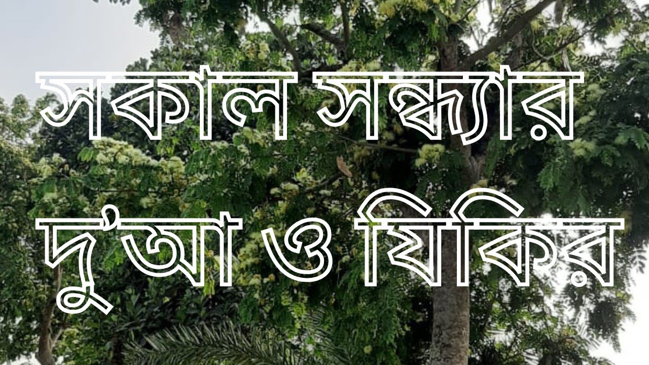 Sokaler dua.সকাল সন্ধ্যার দু'আ ও যিকির।  Morning Dua🤲.Recited by Omar Hisham Al Arabi.