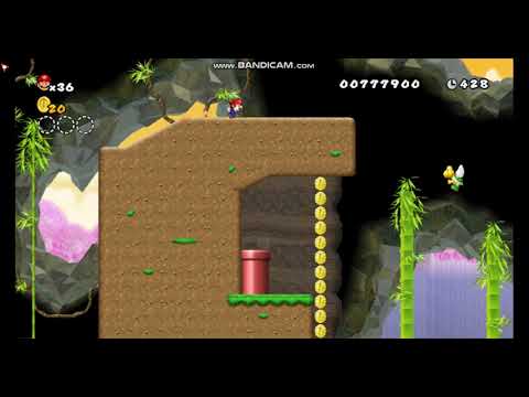 Newer Super Mario Bros Wii Low% Run - 4-5 Vine Chasm