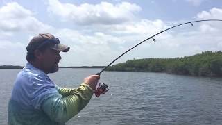 Cypress Spring &quot;Country boy swag&quot; SPS Swamprunner