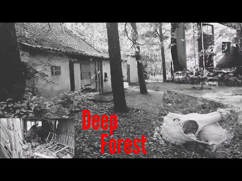 Lost Place Wedemark #Deepforest #A7 #Halloween Special Germany