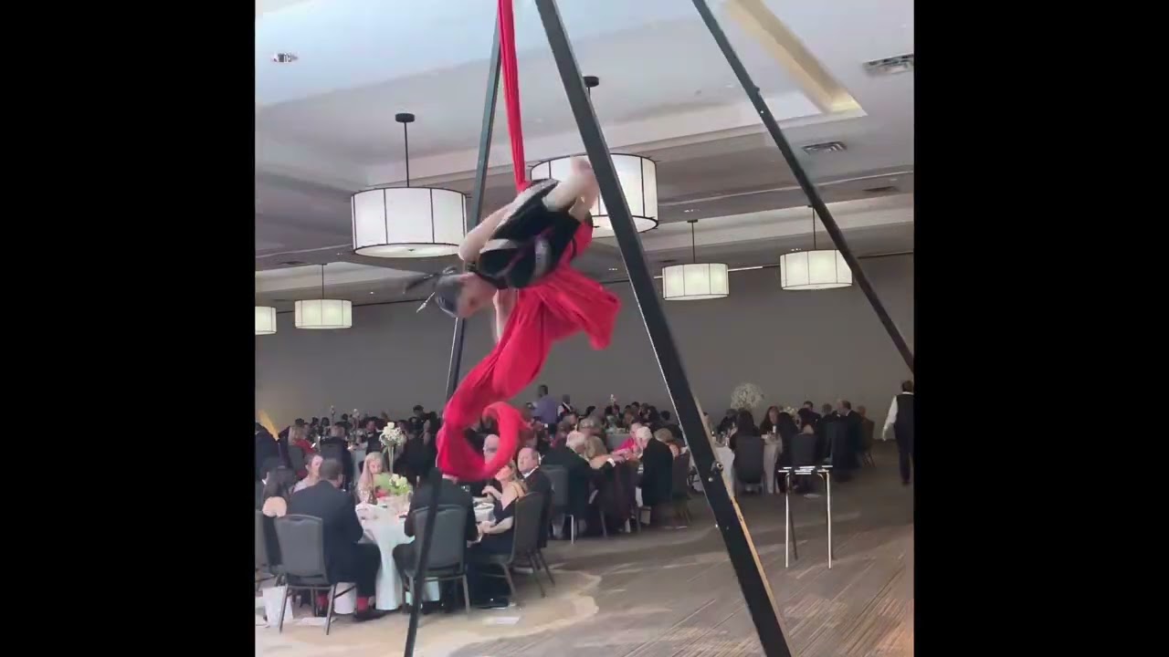 Promotional video thumbnail 3 for Aerial Elements