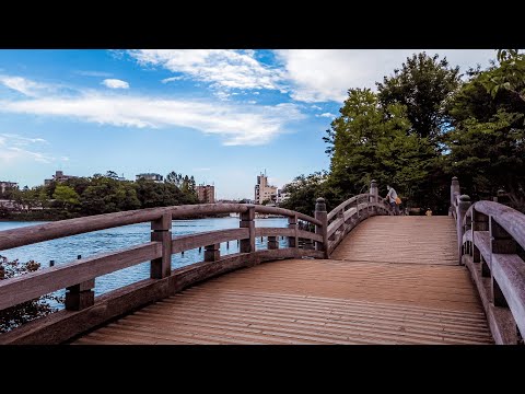 【4K】Exploring Tokyo Suburbs - Ookayama(大岡山散歩)- Japan 2020