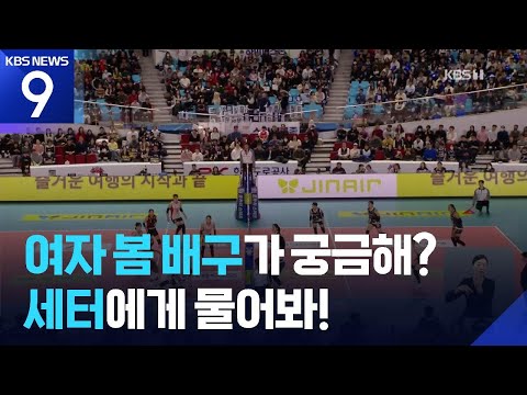 여자부 봄 배구가 궁금해? 세터에게 물어봐!