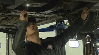 Rodents causing thousands in damage to car wiring