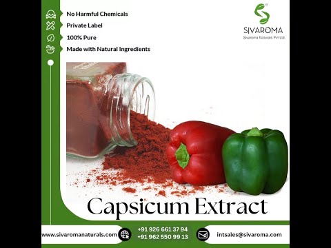 Capsicum Extract Powder