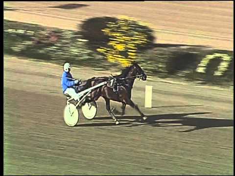 Trotto 01/12/2015 - prova di riqualifica