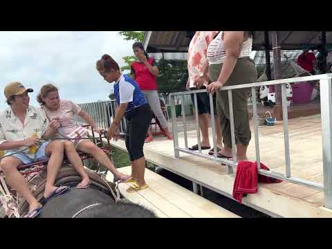 Pang Chang Kamala l Acampamento de Elefantes em Phuket