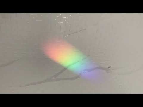 VBLOW + 82 | ZABUTRE