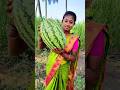 Watermelon Lemon Juice Fruit Juice Making Shorts
