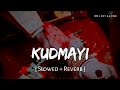 Kudmayi Ke Din Aa Gaye Lofi Slowed Reverb Shahid Mallya My Sister RN Lofi Alone
