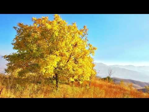 BËJE KËTË para gjumit! Provoje sonte dhe transformo JETËN TËNDE! | Carl Jung