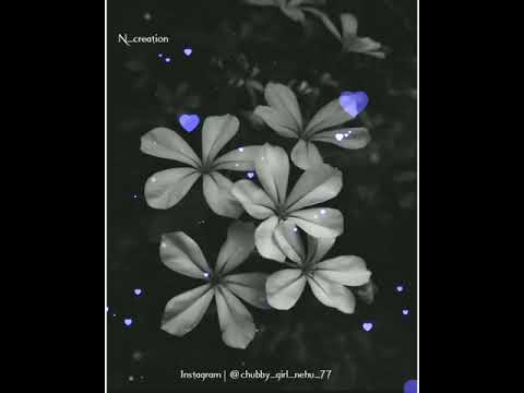 Mere dil mein, Jagah khuda ki khali thi | Full Screen Whatsapp Status