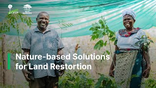 Nature-based Solutions for Land Restortion