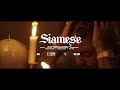 Kyle The Hooligan Siamese Official Music Video