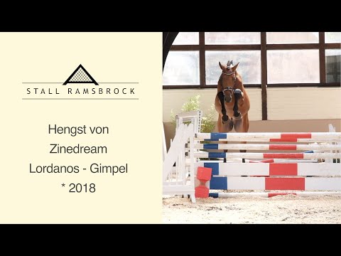 Nr 41 Zinedream x Lordanos