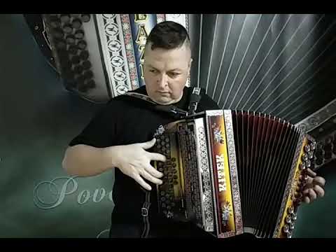 KITEK B Es As - PLAZNIK STIMA