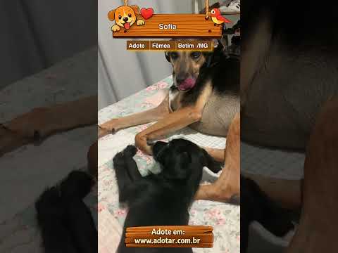 Vídeo de Sofia