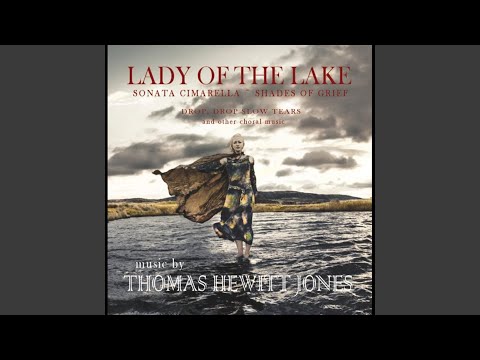 Drop Drop, Slow Tears