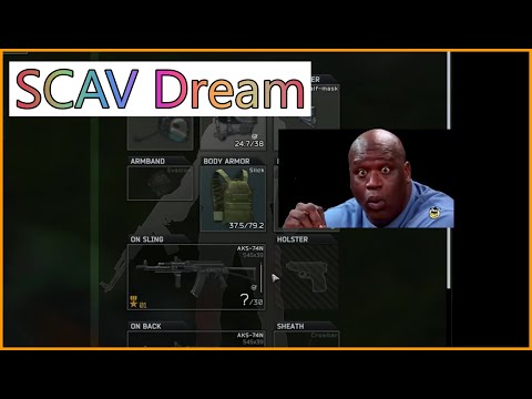 SCAV Dream