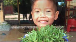 โครงการพัฒนาทักษะอาชีพนักเรียน ช่วงชั้นปฐมวัย