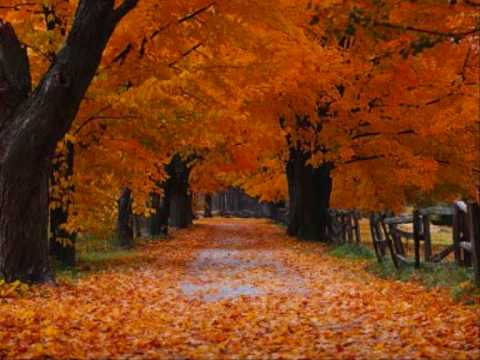 Pasa El Otoño video