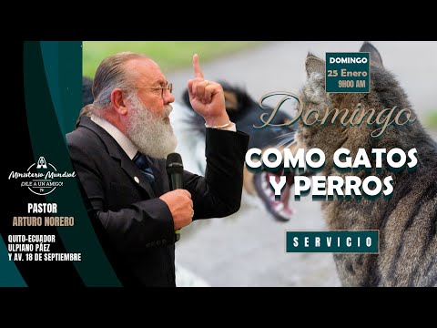 CULTO DOMINICAL CON EL PASTOR ARTURO NORERO "COMO PERROS Y GATOS"