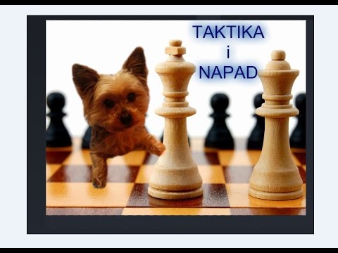 Taktički trik i pada Dama  -  ALBIN vs HORINEK - Danski gambit  # 834