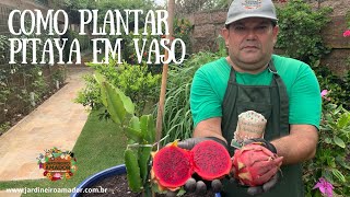 Miniatura do vídeo
