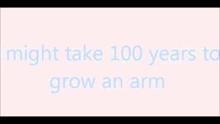 Weekend Wars (MGMT w/ lyrics)