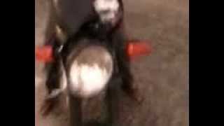 preview picture of video 'Jô o melhor em pinador de moto de serrita-PE'