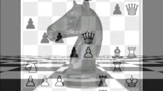 New Musik - Kingdoms For Horses.